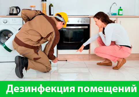 Дезинфекция офисов от коронавируса в городе Миасс