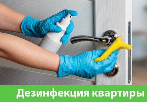Дезинфекция квартиры в городе Миасс