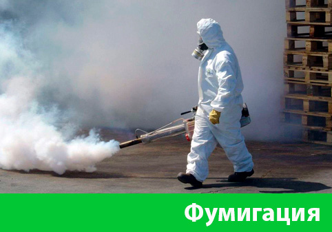 Фумигация в городе Миасс