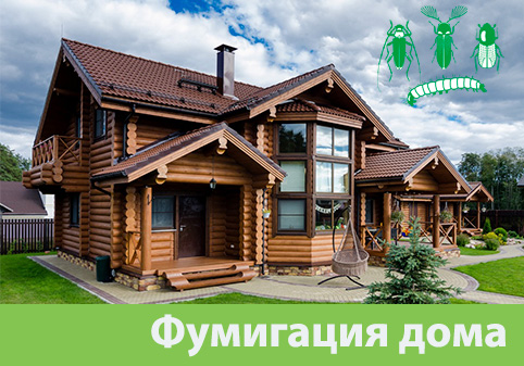 Преимущества обработки газом в городе Миасс