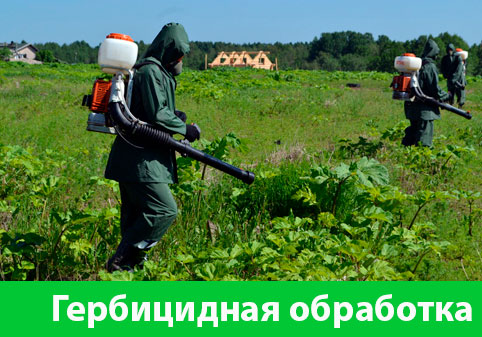 Гербицидная обработка в городе Миасс