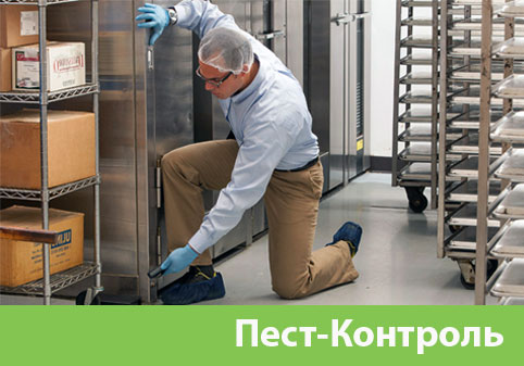 Пэст-Контроль в городе Миасс
