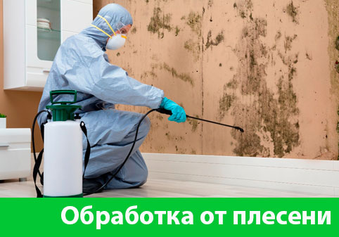 Обработка от плесени в городе Миасс