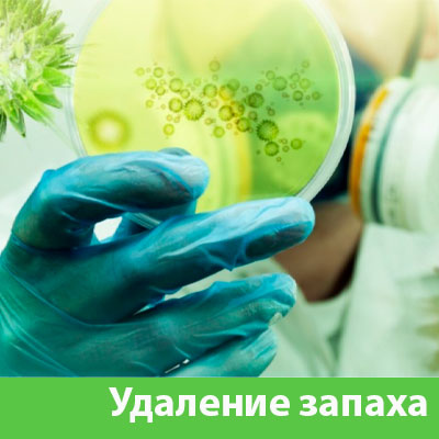 Удаление запахов в Миассе