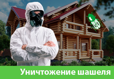 Уничтожение шашеля и личинок в Миассе