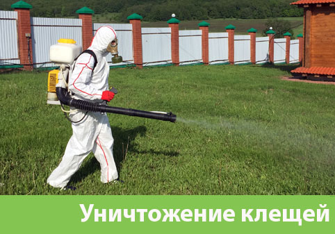 Уничтожение клещей в городе Миасс